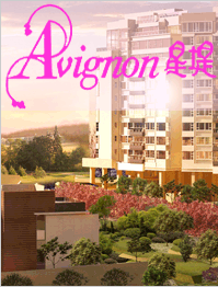 星堤 Avignon